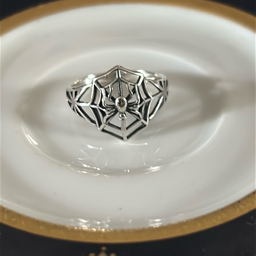 Sterling Silver Spider Web Ring
